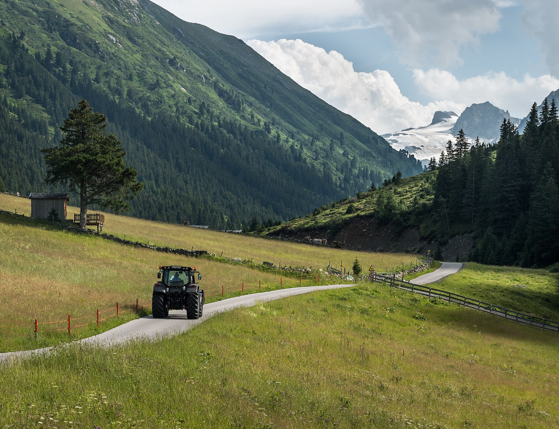 junge Landwirte in Österreich als Symbolbild